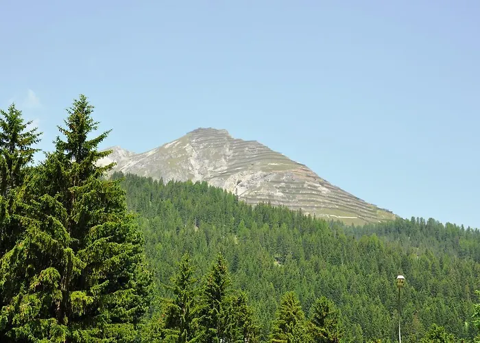 Riedwiese ダヴォス・プラッツ