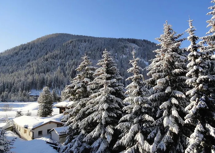 Riedwiese ダヴォス・プラッツ