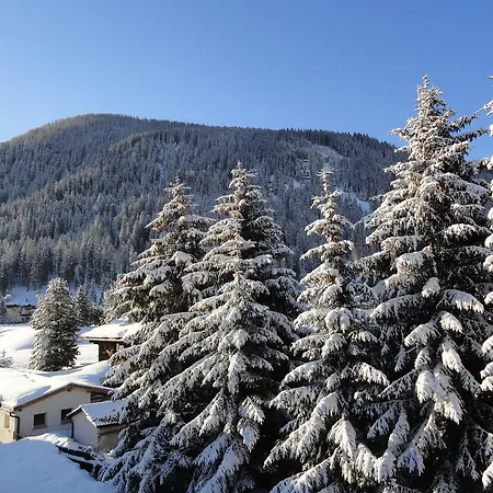 Riedwiese ダヴォス・プラッツ